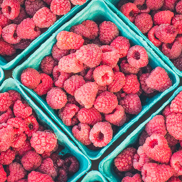 Chilled Lemon and Raspberry Flan - Silverwood Bakeware